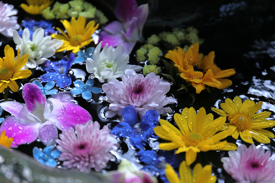 石鎚神社 石鎚本教 佐川教会・六部堂のイメージ写真3