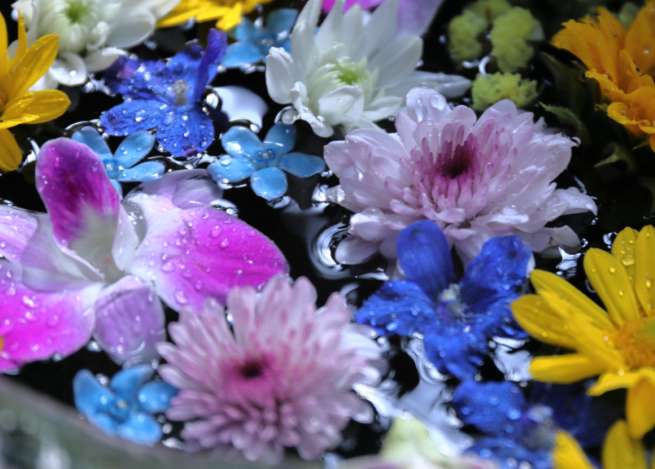 私たちがお手伝いできる事